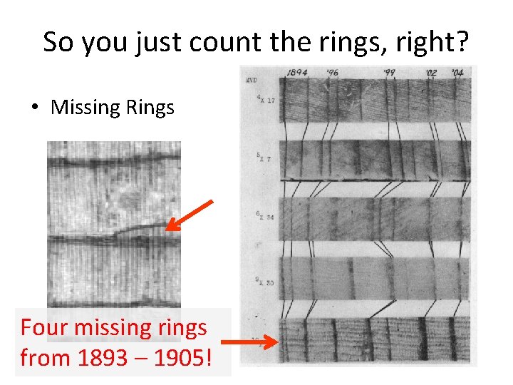 So you just count the rings, right? • Missing Rings Four missing rings from