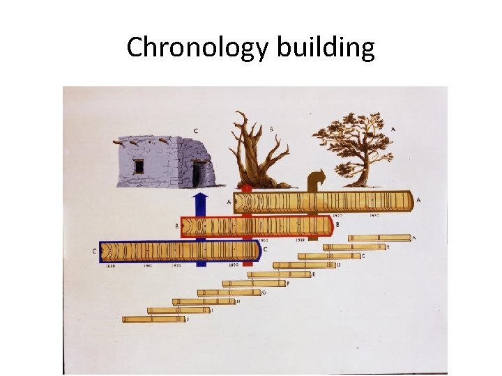 Chronology building 