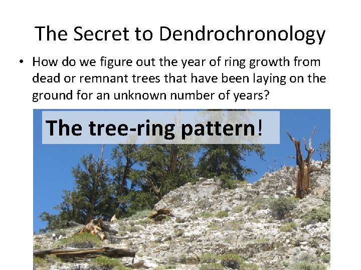 The Secret to Dendrochronology • How do we figure out the year of ring