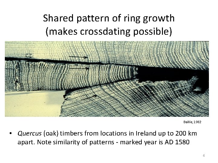 Shared pattern of ring growth (makes crossdating possible) Baillie, 1982 • Quercus (oak) timbers