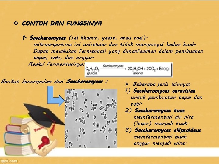 v CONTOH DAN FUNGSINYA 1. Saccharomyces (sel khamir, yeast, atau ragi). mikroorganisme ini uniseluler