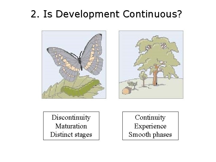 2. Is Development Continuous? Discontinuity Maturation Distinct stages Continuity Experience Smooth phases 