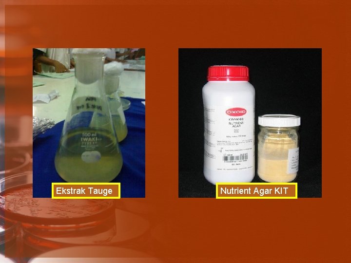 Ekstrak Tauge Nutrient Agar KIT 