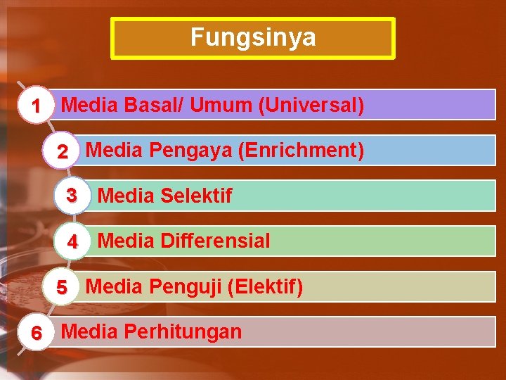 Fungsinya 1 Media Basal/ Umum (Universal) 2 Media Pengaya (Enrichment) 3 Media Selektif 4