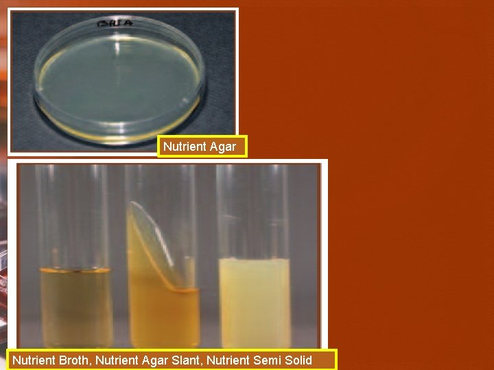 Nutrient Agar Nutrient Broth, Nutrient Agar Slant, Nutrient Semi Solid 