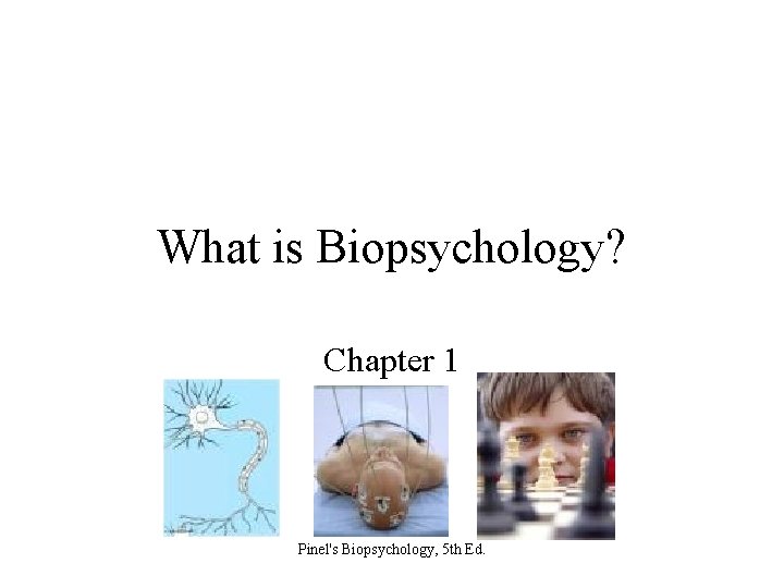 What is Biopsychology? Chapter 1 Pinel's Biopsychology, 5 th Ed. 