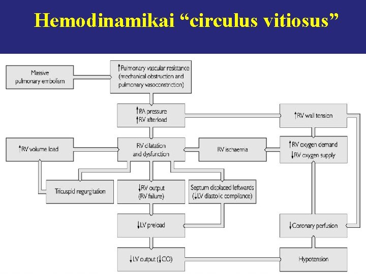 Hemodinamikai “circulus vitiosus” 