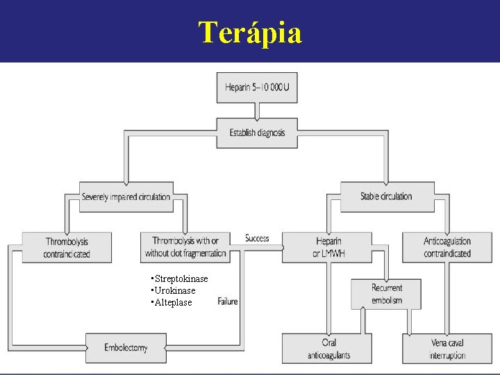 Terápia • Streptokinase • Urokinase • Alteplase 