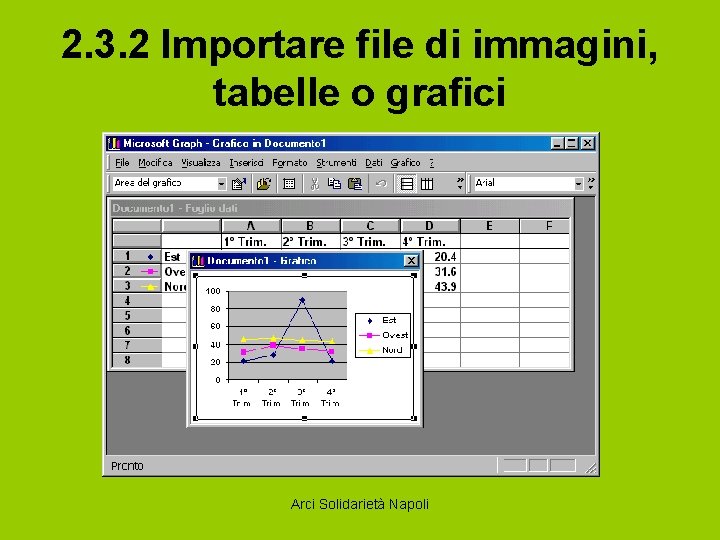 2. 3. 2 Importare file di immagini, tabelle o grafici Arci Solidarietà Napoli 
