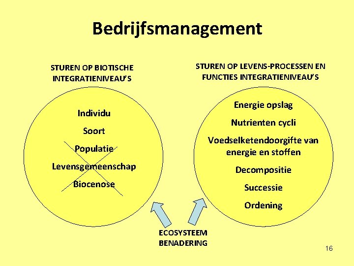 Bedrijfsmanagement STUREN OP BIOTISCHE INTEGRATIENIVEAU’S STUREN OP LEVENS-PROCESSEN EN FUNCTIES INTEGRATIENIVEAU’S Energie opslag Individu