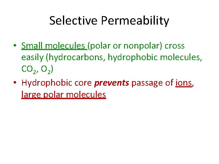 Selective Permeability • Small molecules (polar or nonpolar) cross easily (hydrocarbons, hydrophobic molecules, CO