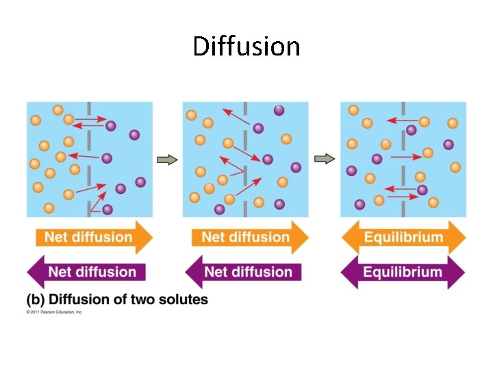 Diffusion 