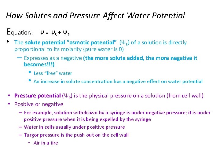 How Solutes and Pressure Affect Water Potential Equation: • Ψ = Ψ S +