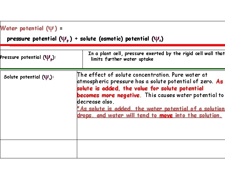 Water potential (ψ ) = pressure potential (ψp ) + solute (osmotic) potential (ψs)