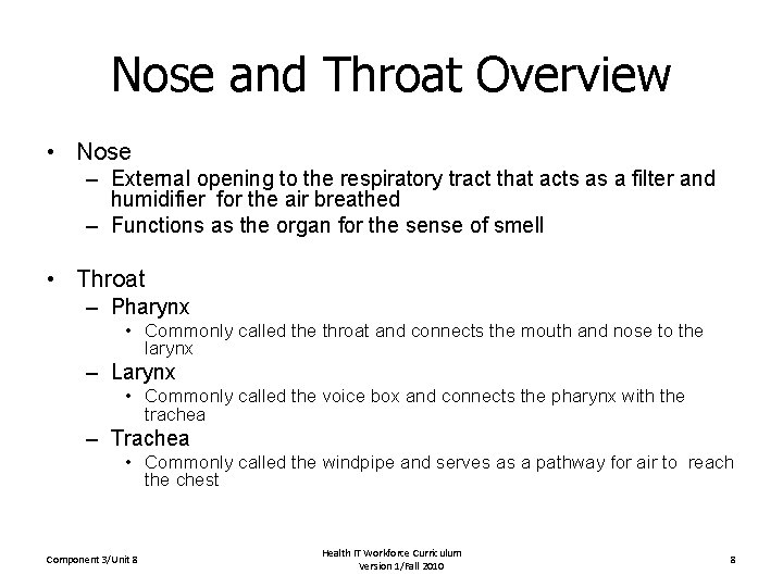 Nose and Throat Overview • Nose – External opening to the respiratory tract that
