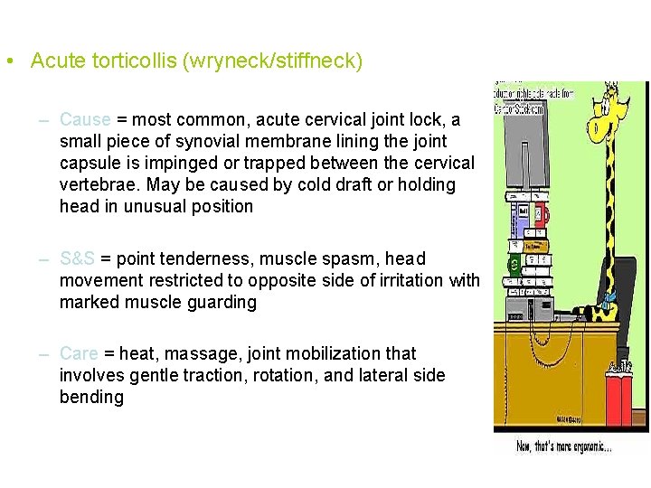  • Acute torticollis (wryneck/stiffneck) – Cause = most common, acute cervical joint lock,