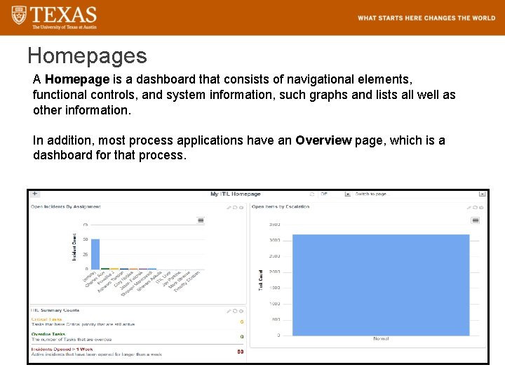 Homepages A Homepage is a dashboard that consists of navigational elements, functional controls, and