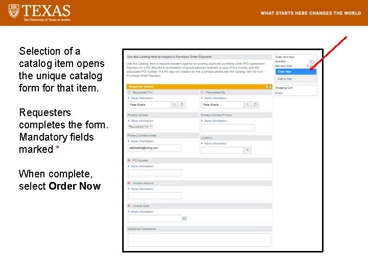 Selection of a catalog item opens the unique catalog form for that item. Requesters
