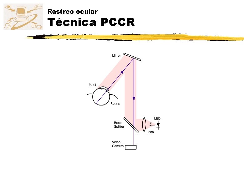 Rastreo ocular Técnica PCCR 