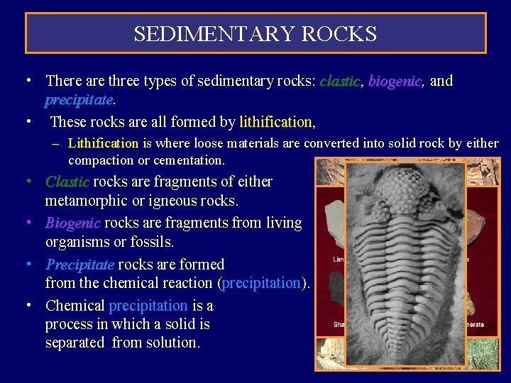 SEDIMENTARY ROCKS • There are three types of sedimentary rocks: clastic, clastic biogenic, biogenic SEDIMENTARY ROCKS • There are three types of sedimentary rocks: clastic, clastic biogenic, biogenic