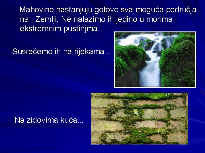 Mahovine nastanjuju gotovo sva moguća područja na Zemlji. Ne nalazimo ih jedino u morima