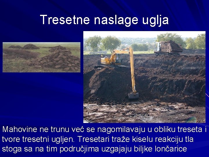 Tresetne naslage uglja Mahovine ne trunu već se nagomilavaju u obliku treseta i tvore