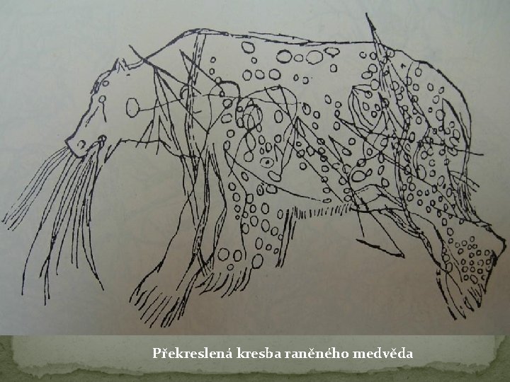 Překreslená kresba raněného medvěda 