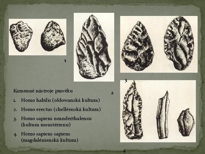 1 3 Kamenné nástroje pravěku 2 1. Homo habilis (oldowanská kultura) 2. Homo erectus