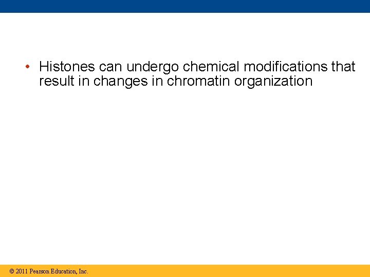  • Histones can undergo chemical modifications that result in changes in chromatin organization