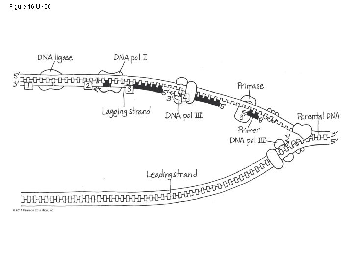 Figure 16. UN 06 