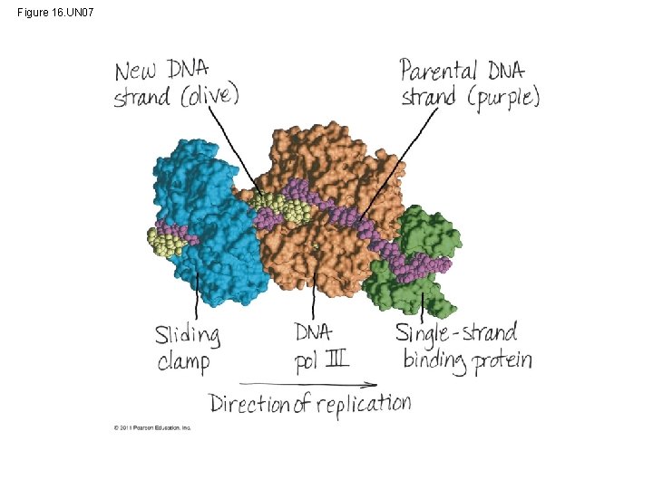 Figure 16. UN 07 