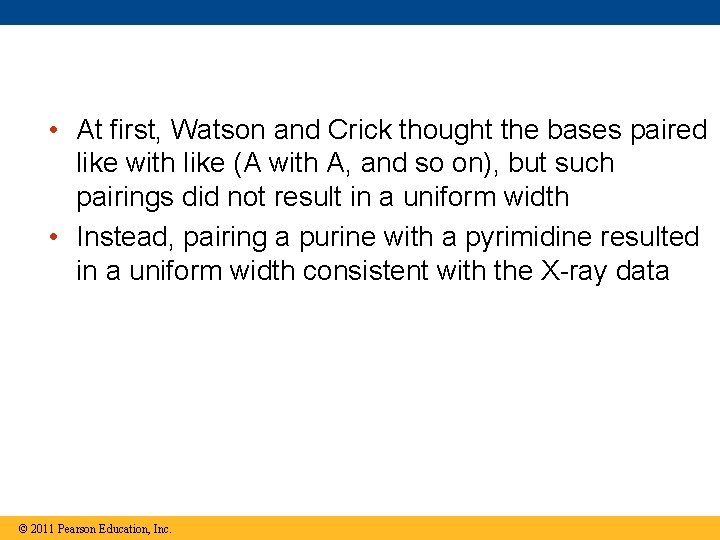  • At first, Watson and Crick thought the bases paired like with like