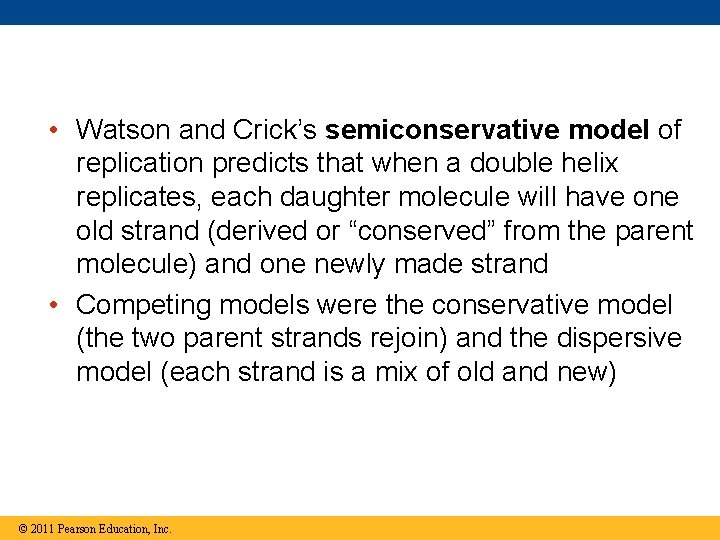  • Watson and Crick’s semiconservative model of replication predicts that when a double