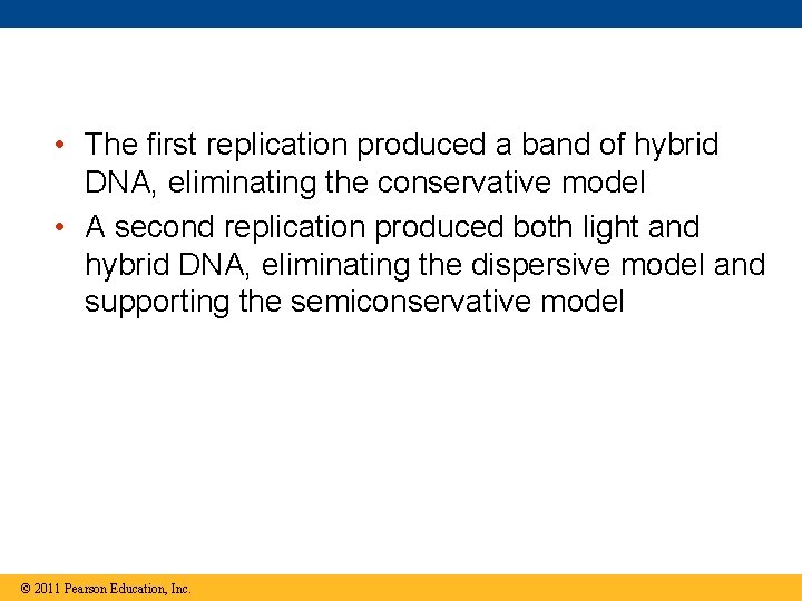  • The first replication produced a band of hybrid DNA, eliminating the conservative