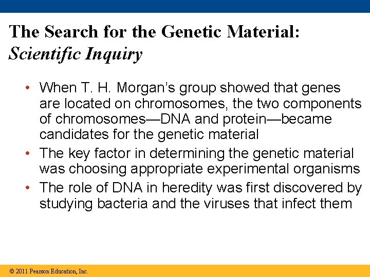 The Search for the Genetic Material: Scientific Inquiry • When T. H. Morgan’s group