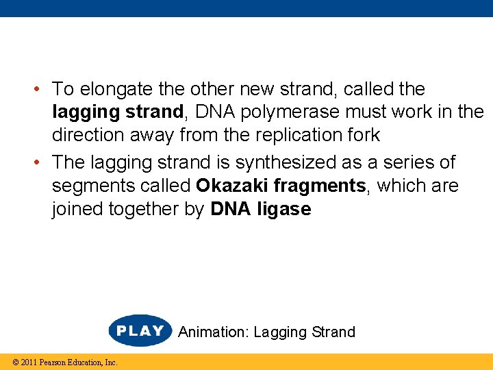  • To elongate the other new strand, called the lagging strand, DNA polymerase