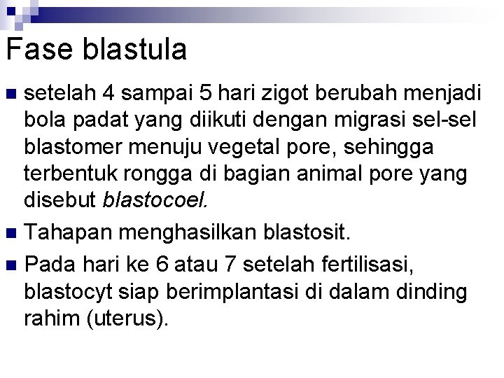 Fase blastula setelah 4 sampai 5 hari zigot berubah menjadi bola padat yang diikuti