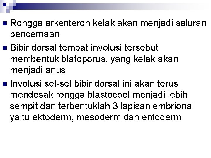 Rongga arkenteron kelak akan menjadi saluran pencernaan n Bibir dorsal tempat involusi tersebut membentuk