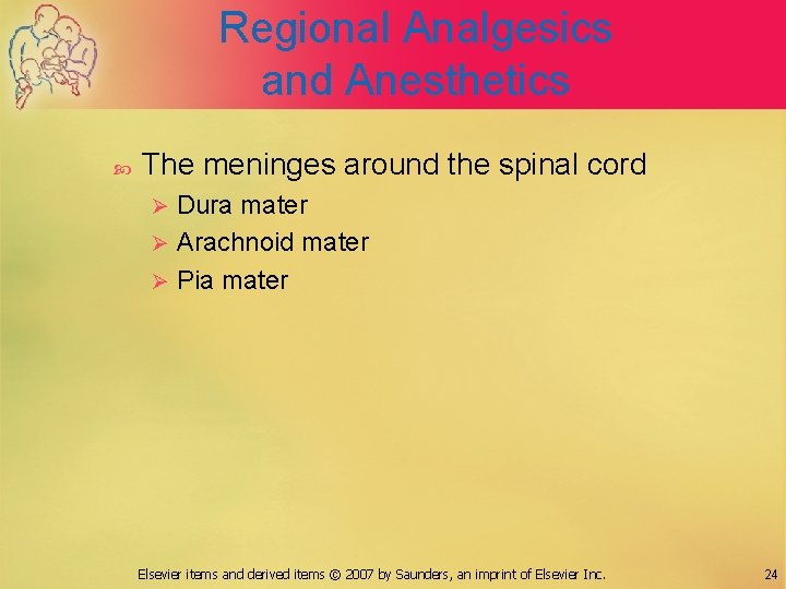 Regional Analgesics and Anesthetics The meninges around the spinal cord Dura mater Ø Arachnoid