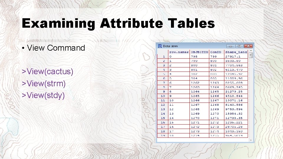 Examining Attribute Tables • View Command >View(cactus) >View(strm) >View(stdy) 