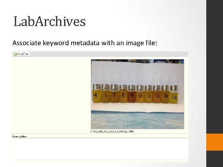 Lab. Archives Associate keyword metadata with an image file: 