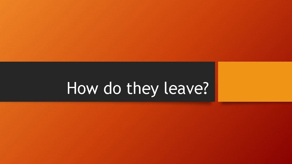How do they leave? 