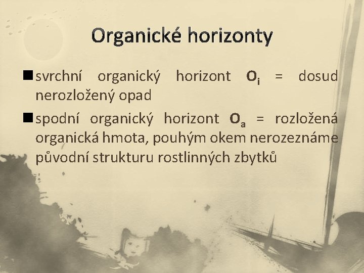 Organické horizonty n svrchní organický horizont Oi = dosud nerozložený opad n spodní organický