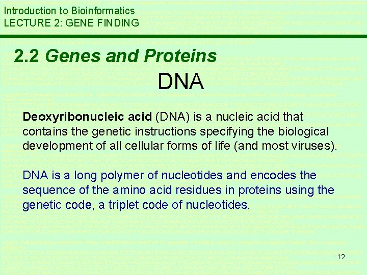 Introduction to Bioinformatics LECTURE 2: GENE FINDING 2. 2 Genes and Proteins DNA Deoxyribonucleic