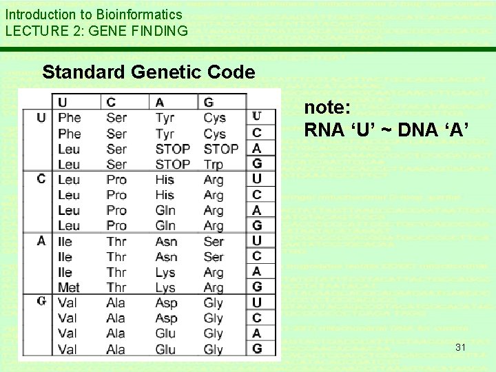 Introduction to Bioinformatics LECTURE 2: GENE FINDING Standard Genetic Code note: RNA ‘U’ ~ Introduction to Bioinformatics LECTURE 2: GENE FINDING Standard Genetic Code note: RNA ‘U’ ~
