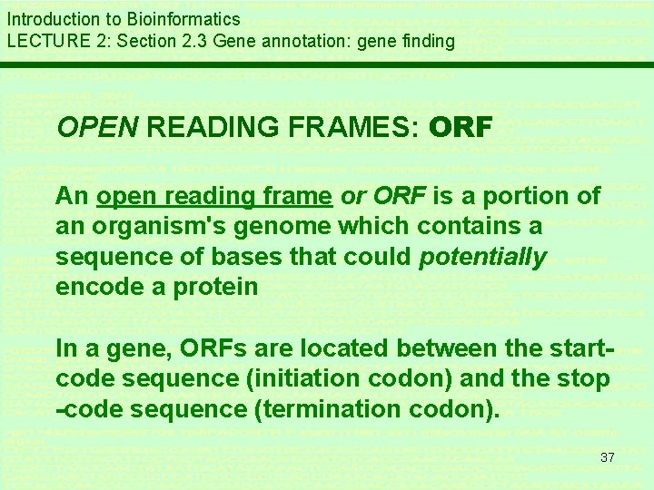 Introduction to Bioinformatics LECTURE 2: Section 2. 3 Gene annotation: gene finding OPEN READING