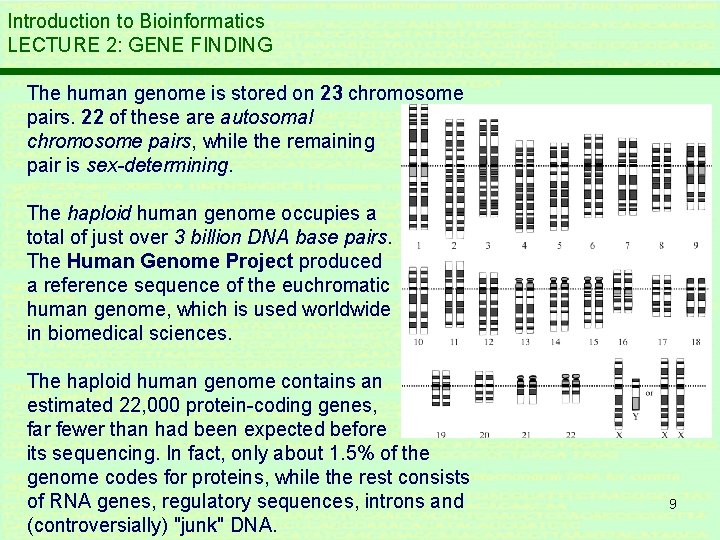 Introduction to Bioinformatics LECTURE 2: GENE FINDING The human genome is stored on 23 Introduction to Bioinformatics LECTURE 2: GENE FINDING The human genome is stored on 23