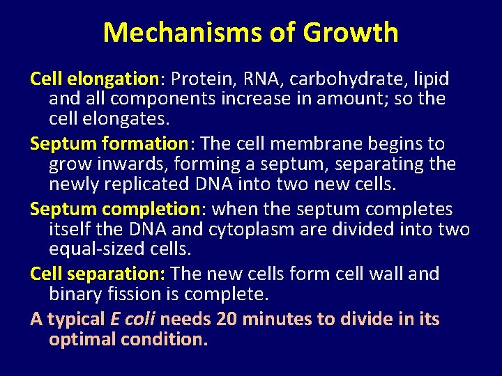 Mechanisms of Growth Cell elongation: Protein, RNA, carbohydrate, lipid and all components increase in