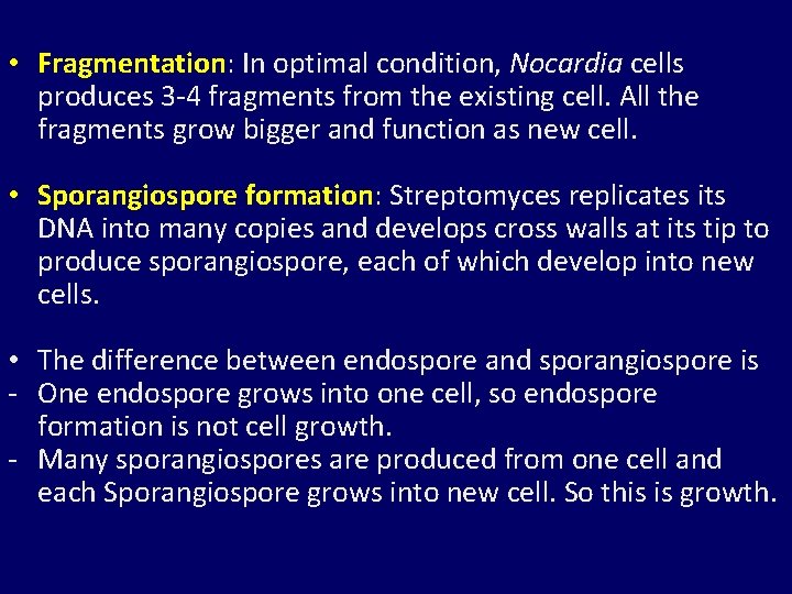 • Fragmentation: In optimal condition, Nocardia cells produces 3 -4 fragments from the • Fragmentation: In optimal condition, Nocardia cells produces 3 -4 fragments from the