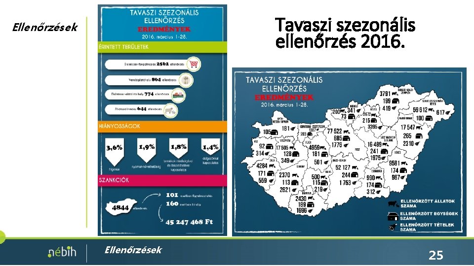 Tavaszi szezonális ellenőrzés 2016. Ellenőrzések 25 